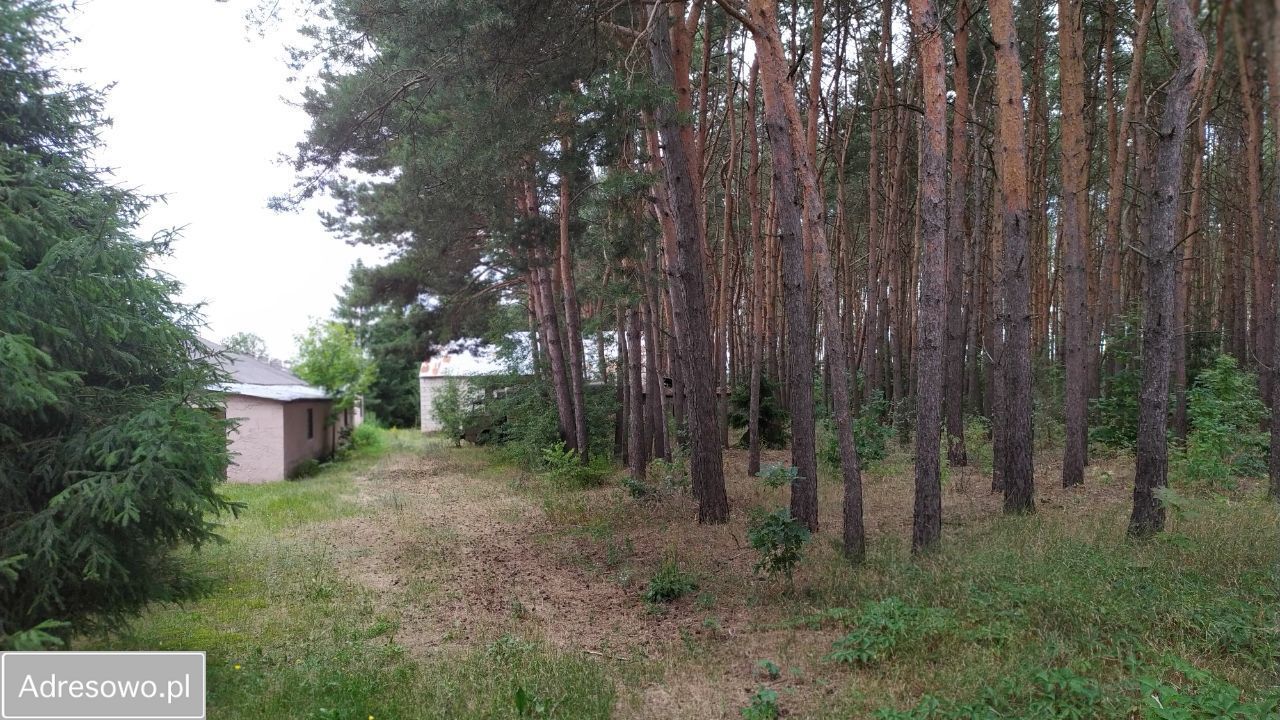 Hala/magazyn Stare Kupiski. Zdjęcie 14