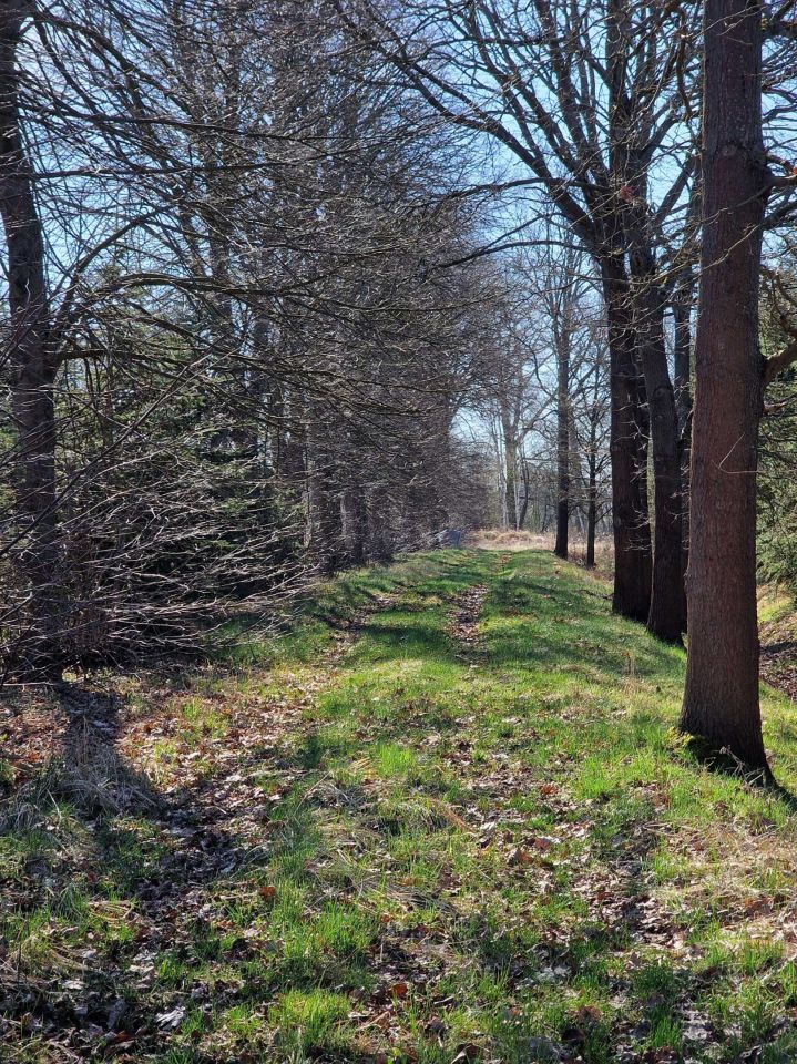 Działka rolna Świdnica. Zdjęcie 7