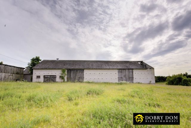 dom wolnostojący, 3 pokoje Pomiany. Zdjęcie 11