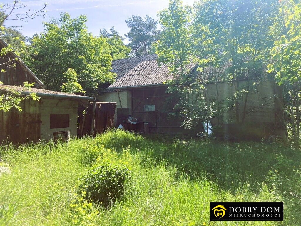 dom wolnostojący, 2 pokoje Boguszewo. Zdjęcie 7