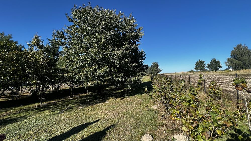 Działka budowlana Podzamcze kolonia. Zdjęcie 3