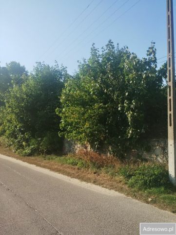 Działka budowlana Jankowice. Zdjęcie 1