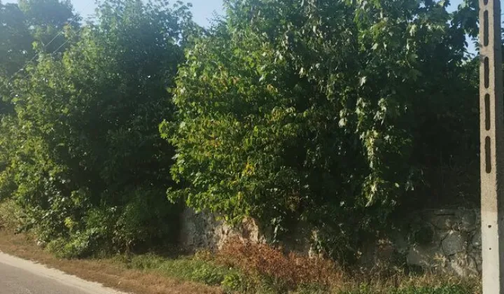 Działka budowlana Jankowice