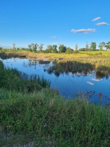Działka inwestycyjna Popowa Wola. Zdjęcie 1