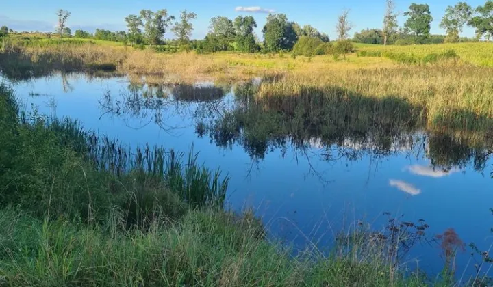 Działka inwestycyjna Popowa Wola