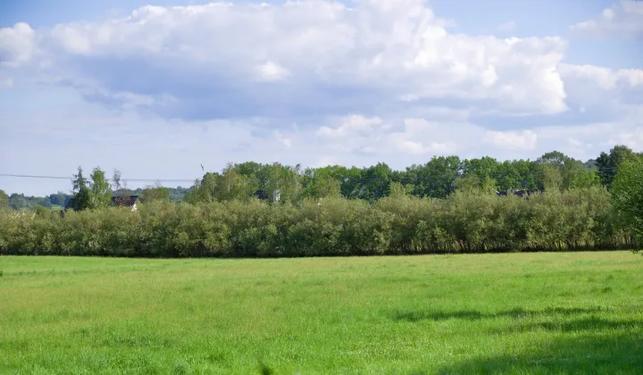Działka rolna Gdów, ul. Stawowa