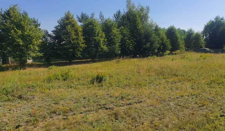 Działka rekreacyjna Kamienica