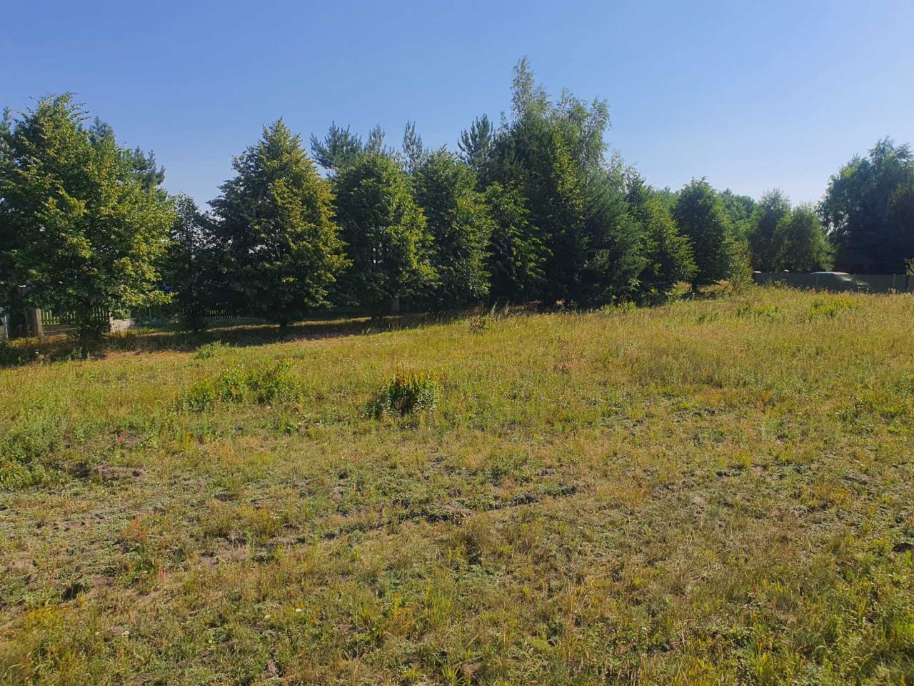 Działka rekreacyjna Kamienica. Zdjęcie 1