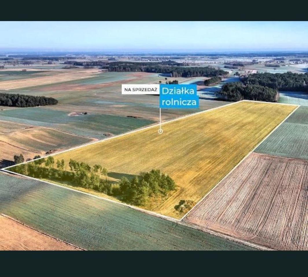 Działka rolna Kąty, 123. Zdjęcie 2