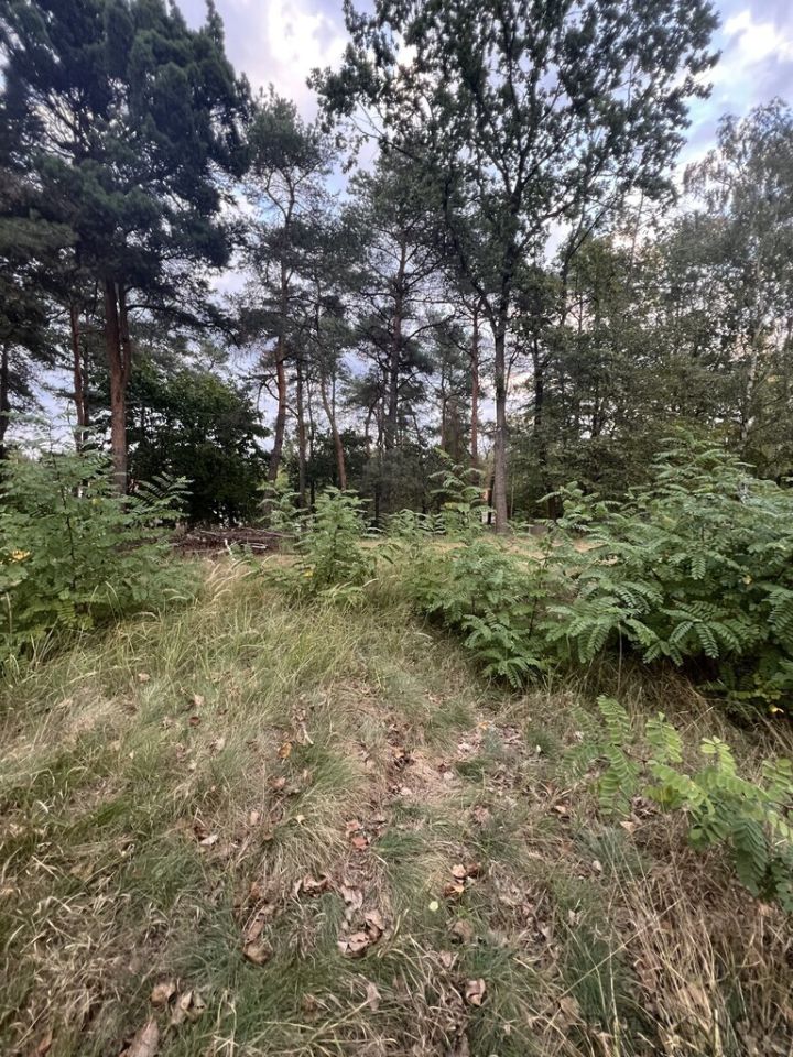 Działka budowlana Warszawa Wesoła, ul. Trakt Brzeski. Zdjęcie 4