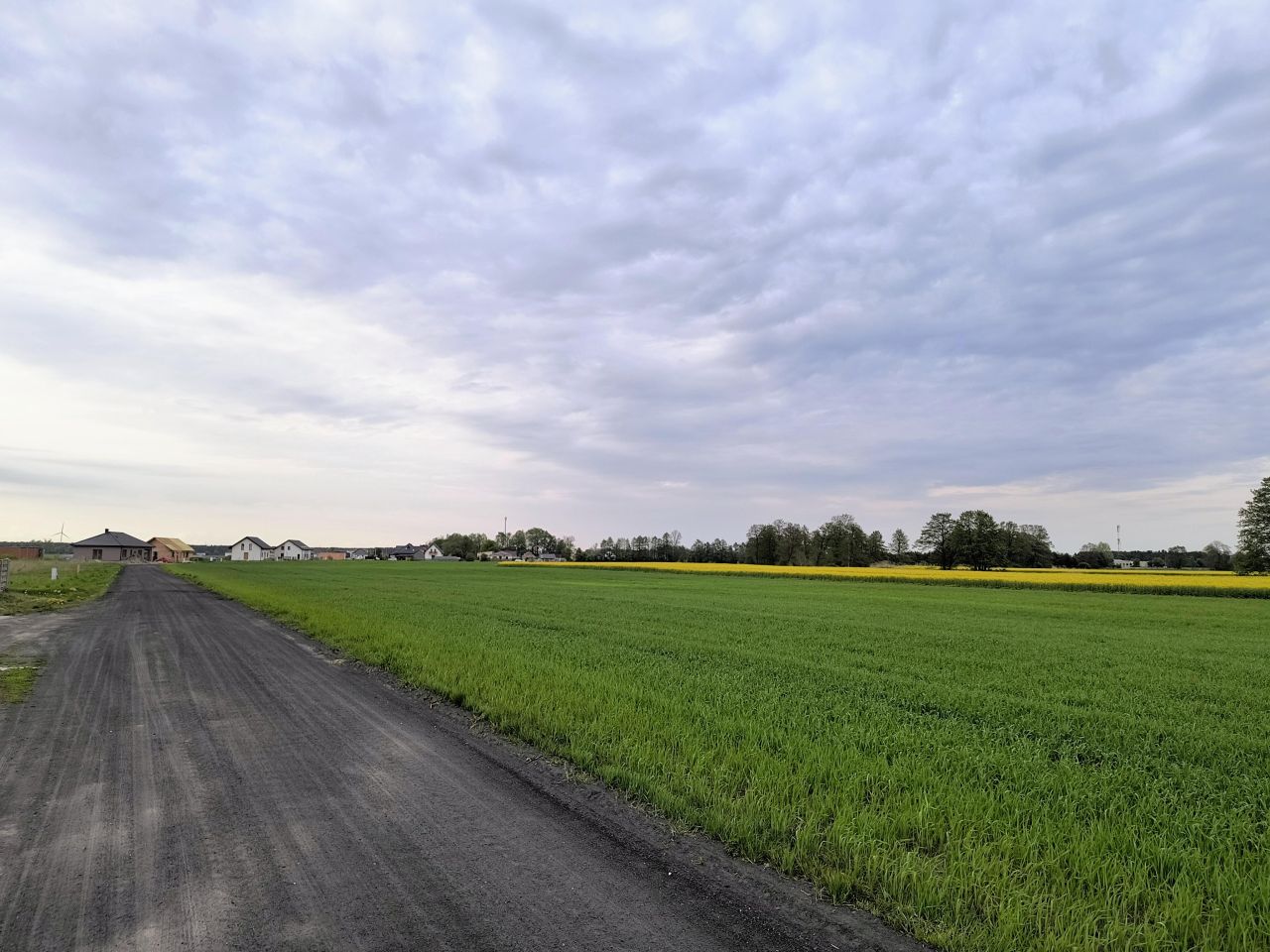 Działka budowlana Miąskowo, Miąskowo. Zdjęcie 1