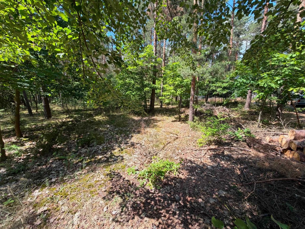 Działka budowlana Osiek nad Wisłą. Zdjęcie 2