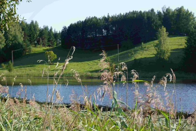 Działka siedliskowa Osinki. Zdjęcie 3