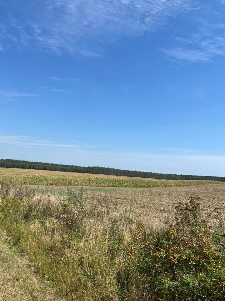 Działka budowlana Żelechlin. Zdjęcie 4