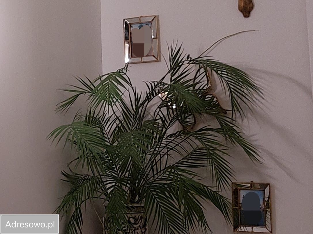 Mieszkanie 4-pokojowe Zielona Góra Centrum, ul. Świętych Cyryla i Metodego. Zdjęcie 11