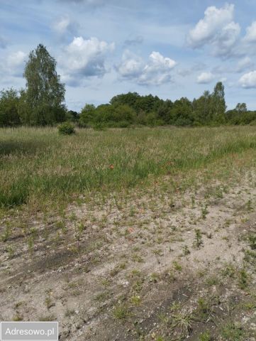 Działka budowlana Żary Kunice Żarskie, ul. Marszowska. Zdjęcie 1