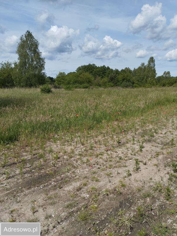 Działka budowlana Żary Kunice Żarskie, ul. Marszowska