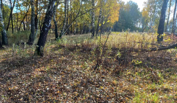 Działka budowlana Rzezawa Gaj, ul. Gaj