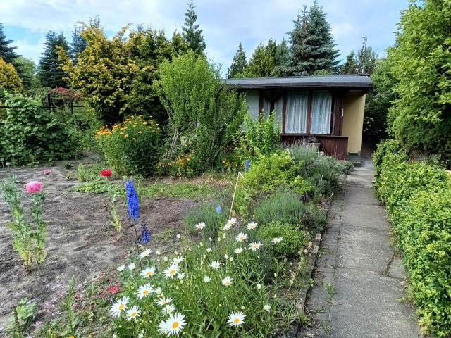 Działka rod Poznań Krzesiny, ul. Jarosławska. Zdjęcie 1