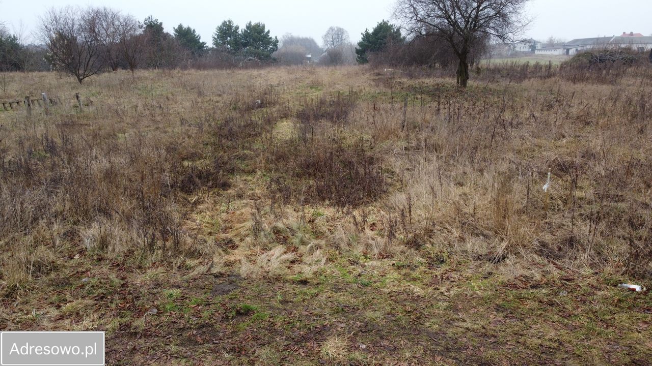 Działka rolna Wielęcin. Zdjęcie 3