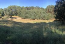 Działka rolno-budowlana Żelichowo. Zdjęcie 1