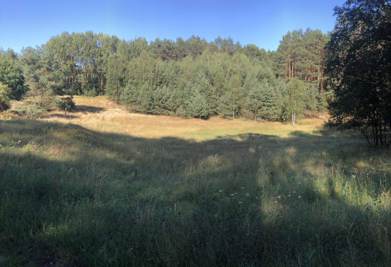 Działka rolno-budowlana Żelichowo. Zdjęcie 2