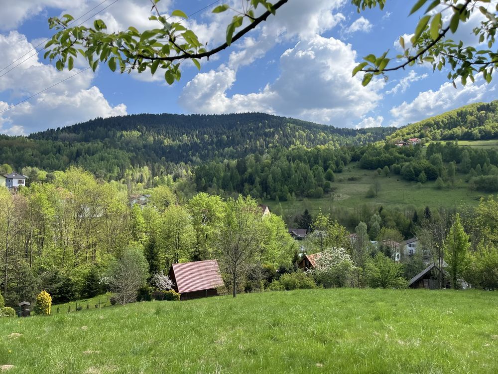 Działka budowlana Mutne. Zdjęcie 7