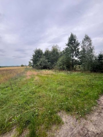Działka rolna Sewerynów. Zdjęcie 1