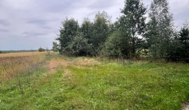 Działka rolna Sewerynów