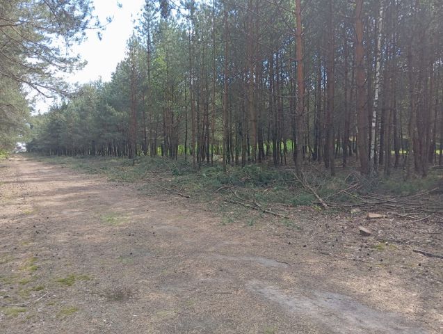 Działka budowlana Blochy. Zdjęcie 1