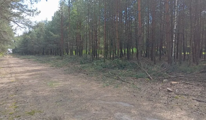 Działka budowlana Blochy