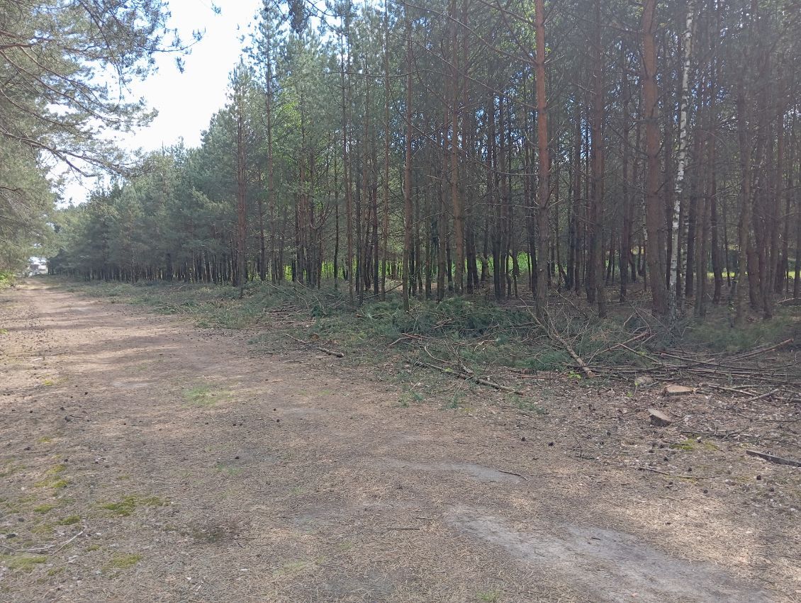 Działka budowlana Blochy