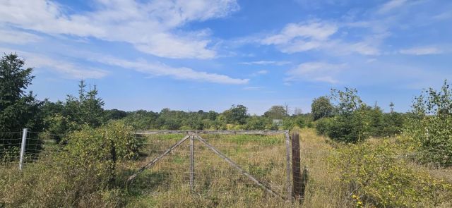 Działka rekreacyjna Głoska. Zdjęcie 6