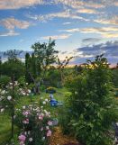 Działka rod Suwałki, ul. Lotnicza