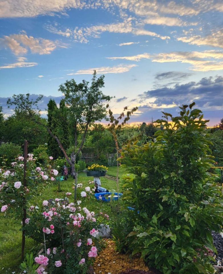 Działka rod Suwałki, ul. Lotnicza