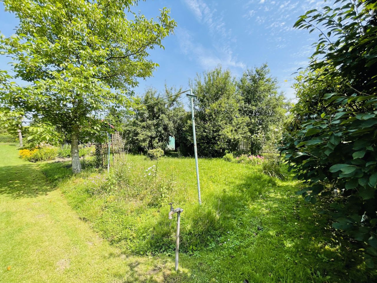 Działka rod Rzeszów Zalesie. Zdjęcie 4