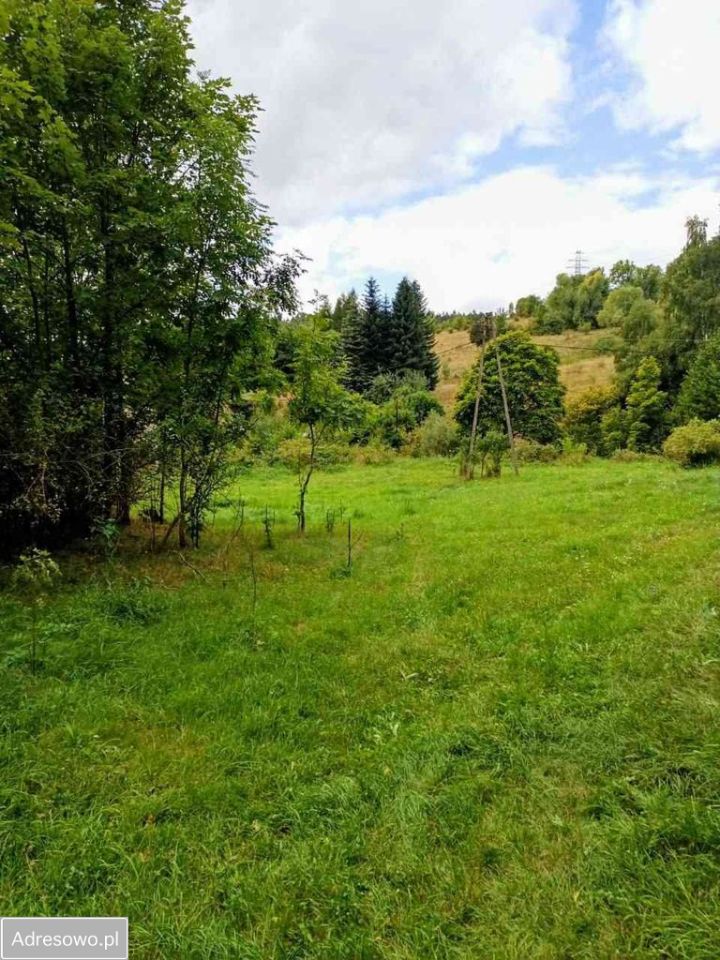 Działka budowlana Wilcza. Zdjęcie 6