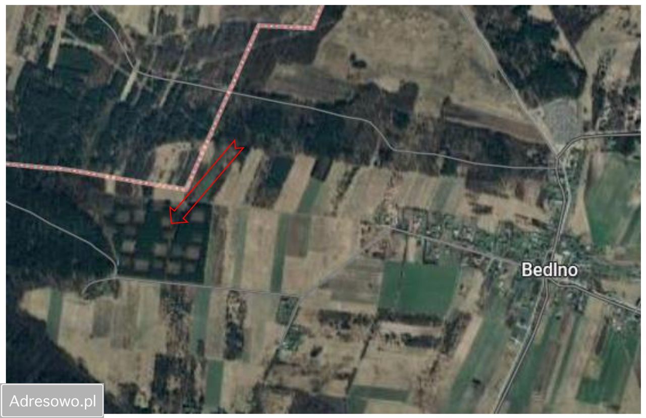 Działka leśna Bedlno. Zdjęcie 3