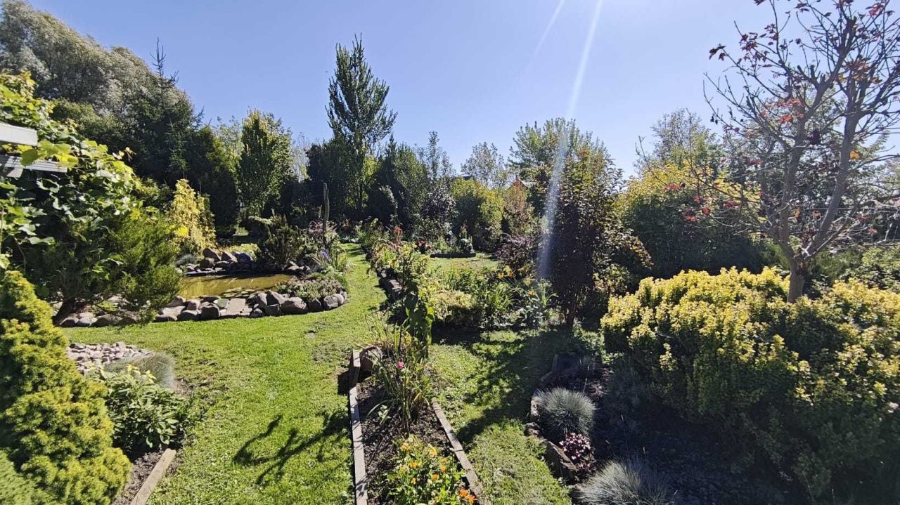 Działka rod Zamość, ul. Aleksandra Fredry. Zdjęcie 3