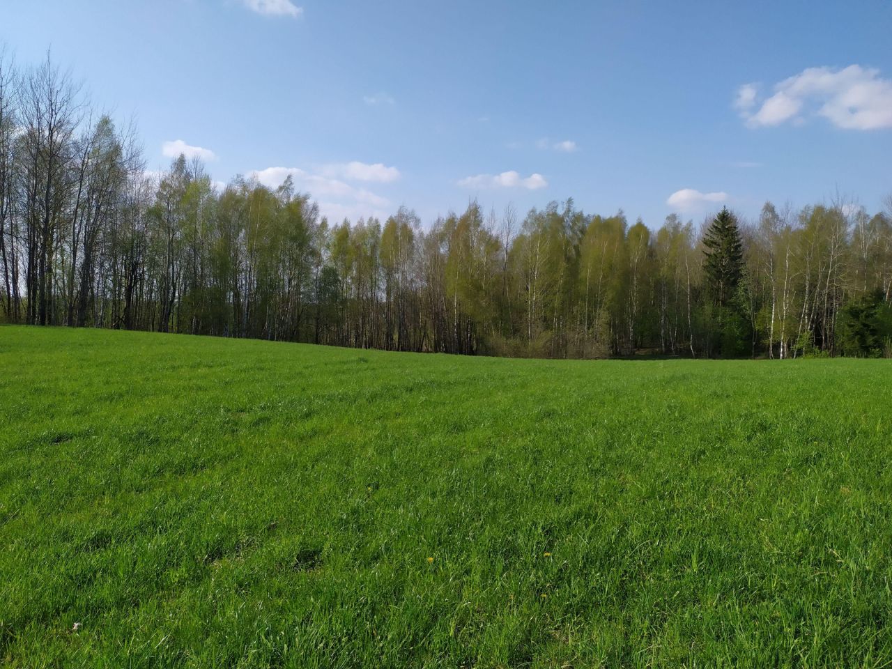 Działka rolna Użmauda. Zdjęcie 10