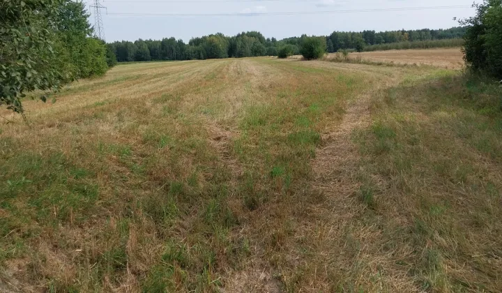 Działka rolno-budowlana Stromiecka Wola