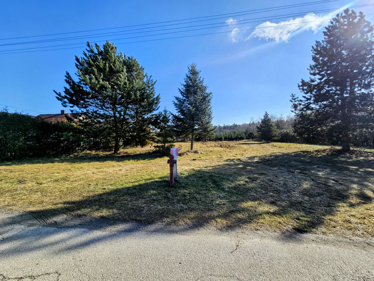 Działka budowlana Osuchów, ul. Leśna. Zdjęcie 2