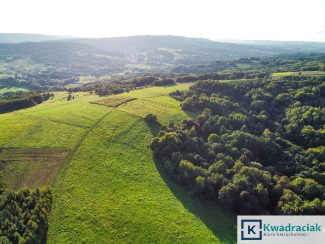 Działka rolna Lutcza. Zdjęcie 9