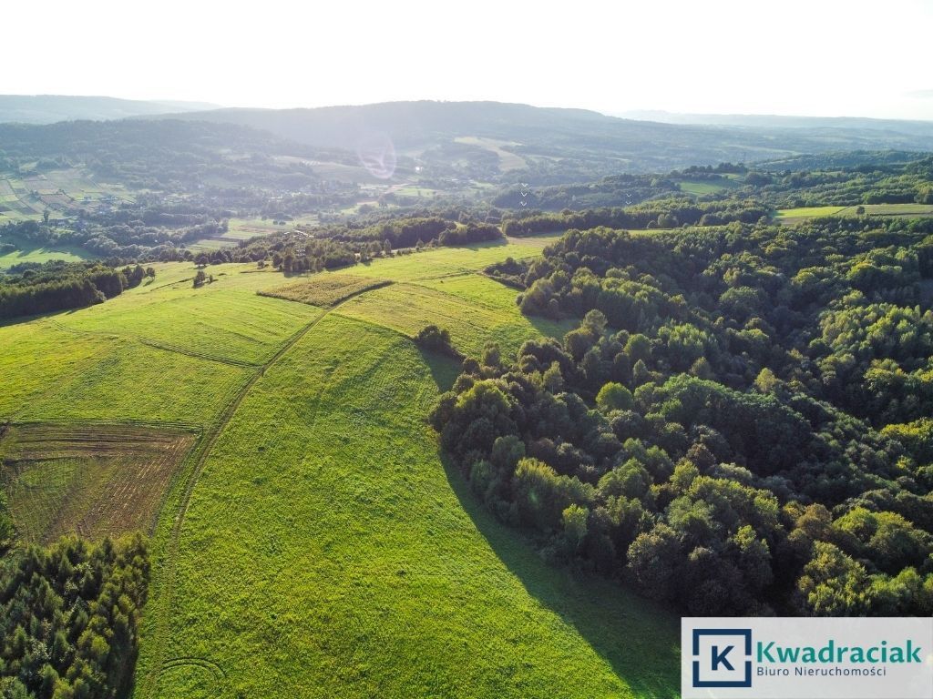 Działka rolna Lutcza. Zdjęcie 9