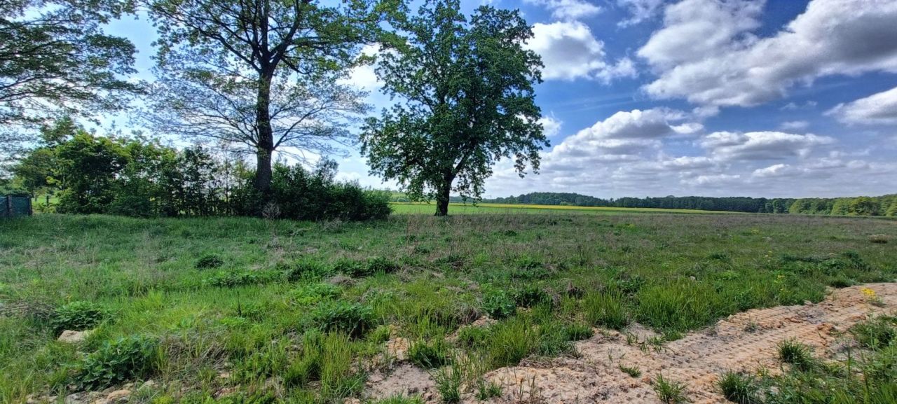 Działka budowlana Złotnik. Zdjęcie 3