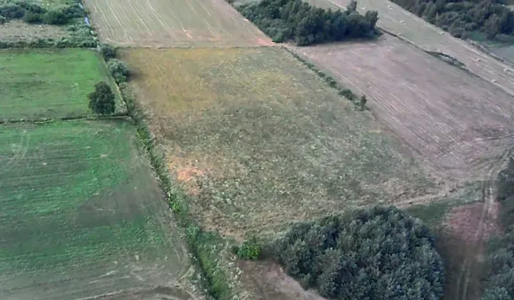 Działka rolna Odargowo, ul. Morska
