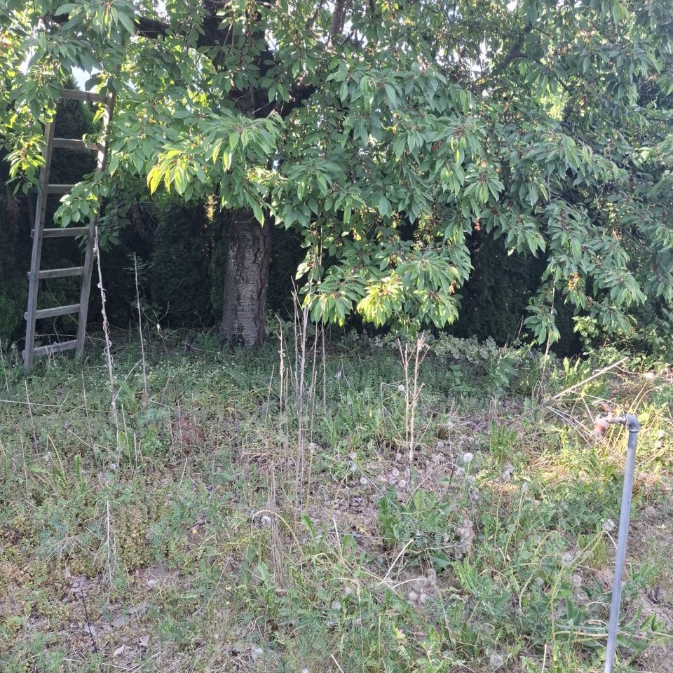 Działka rod Świecie. Zdjęcie 3
