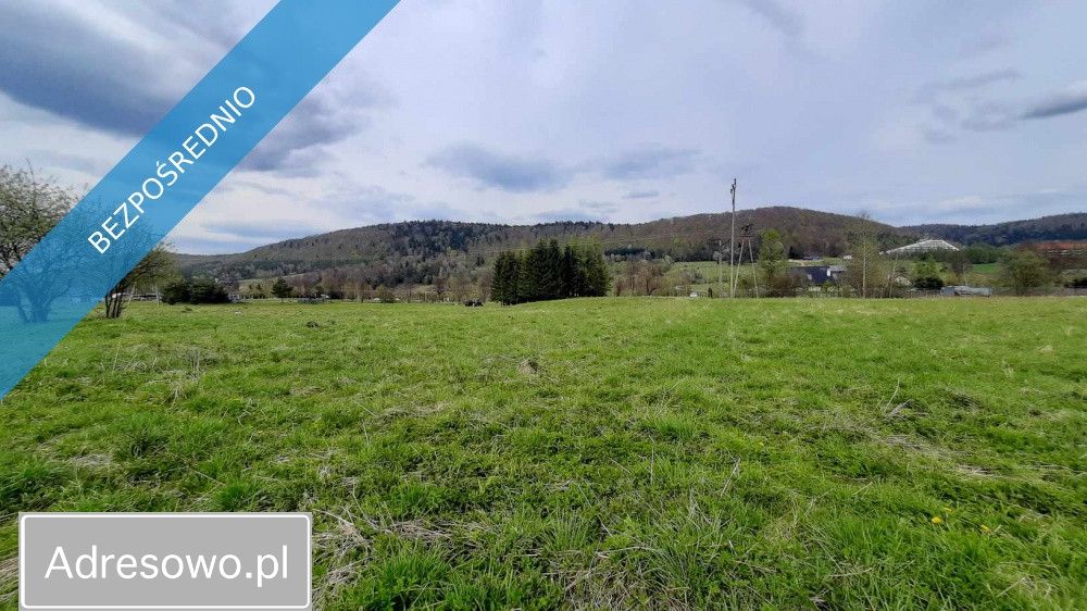 Działka rolna Wysowa-Zdrój. Zdjęcie 12