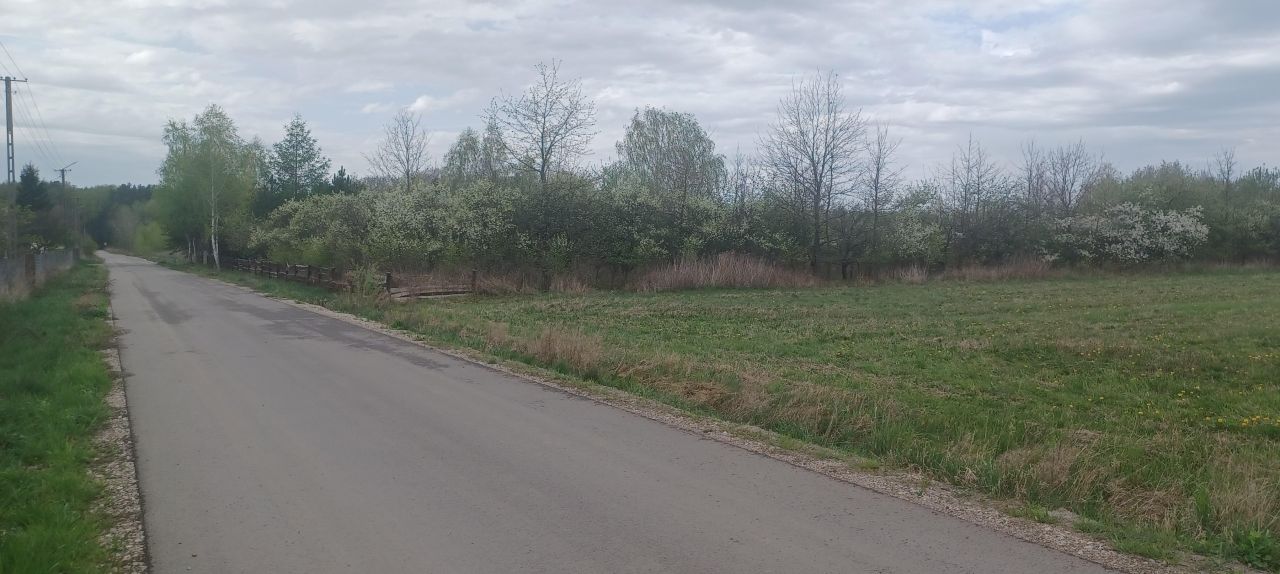 Działka rolno-budowlana Brodek. Zdjęcie 4