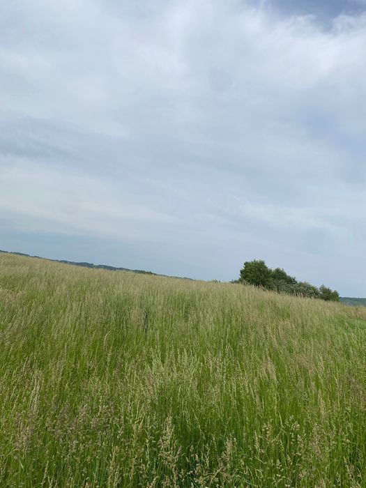 Działka rolna Nawsie